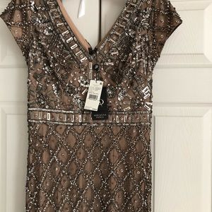 Adrianna papel evening gown